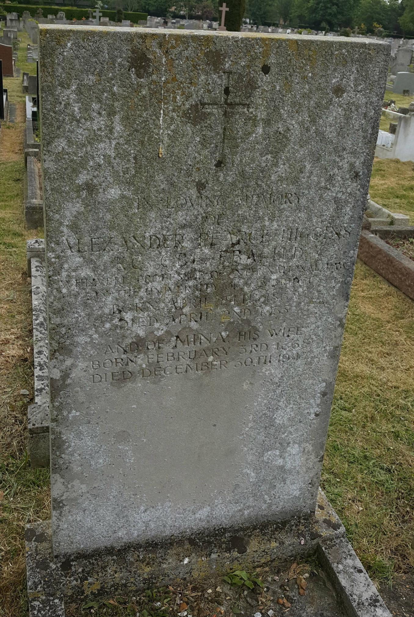 Photo of headstones/Mina McLennan died 1947 MI Cambridge City Cemetery